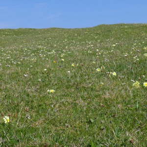 Camping Holiday to the Outer Hebrides