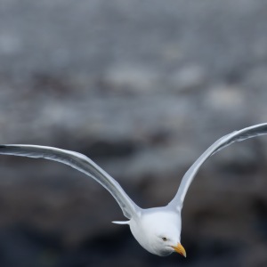 Camping Holiday to the Outer Hebrides
