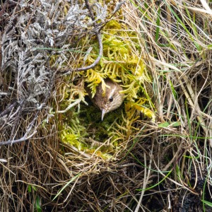 Camping Holiday to the Outer Hebrides