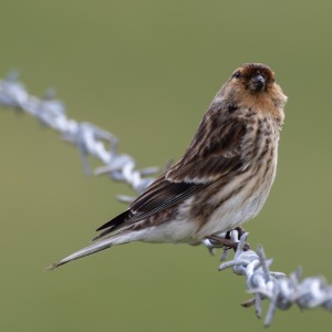 Camping Holiday to the Outer Hebrides