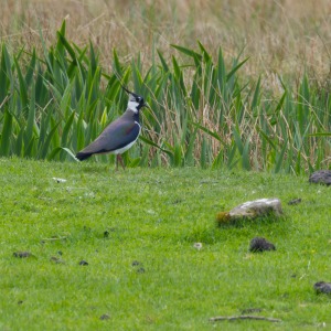 Camping Holiday to the Outer Hebrides