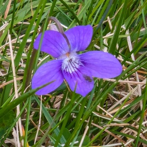 Camping Holiday to the Outer Hebrides