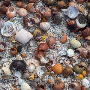Camping Holiday to the Outer Hebrides