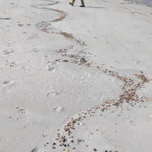 Camping Holiday to the Outer Hebrides