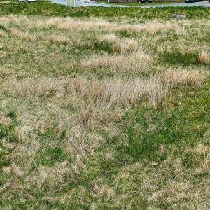 Camping Holiday to the Outer Hebrides