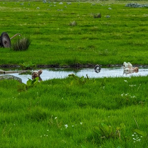 Camping Holiday to the Outer Hebrides