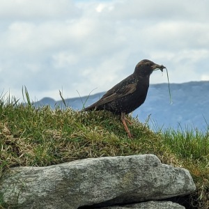 Camping Holiday to the Outer Hebrides