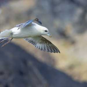 Camping Holiday to the Outer Hebrides