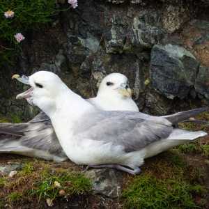 Camping Holiday to the Outer Hebrides
