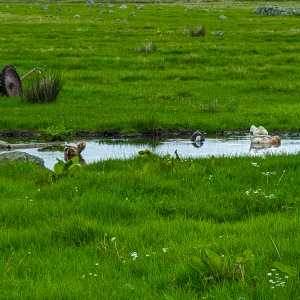 Camping Holiday to the Outer Hebrides