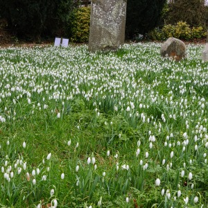 Swyncombe, St Botolph's Church