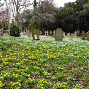 Swyncombe, St Botolph's Church