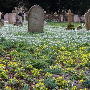 Swyncombe, St Botolph's Church