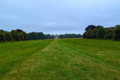 The Game Fair