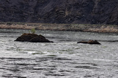 Rocky Mountaineer