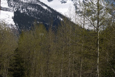 Rocky Mountaineer