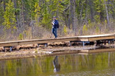 Hinton Beaver Boardwalk
