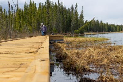 Hinton Beaver Boardwalk