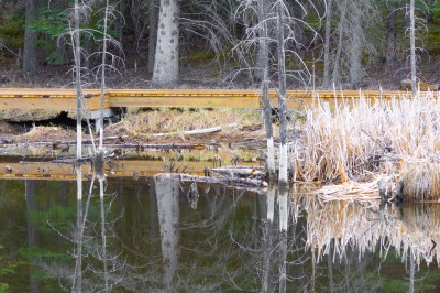 Hinton Beaver Boardwalk