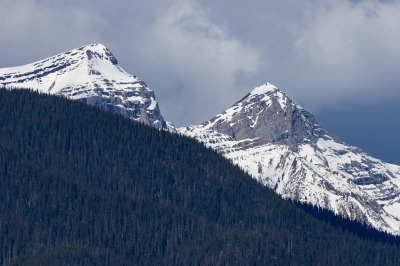 1W5A1072