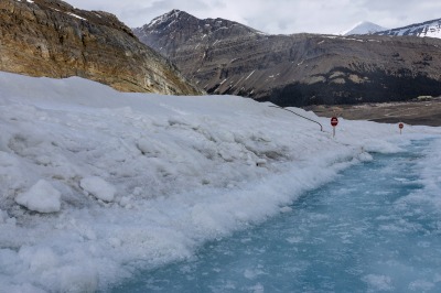 Jasper National Park Icefield
