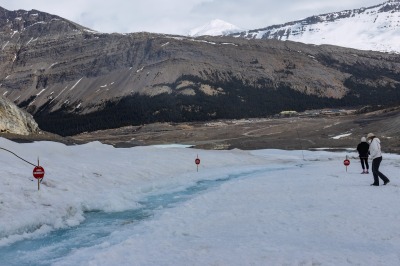 Jasper National Park Icefield