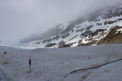 Jasper National Park Icefield