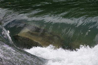 Fraser River