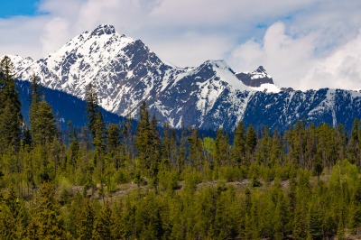 Canoe River Campsite
