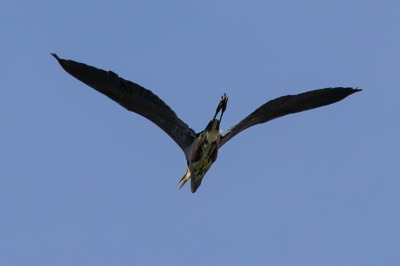 On route to Kelowna, Swan Lake Nature Reserve