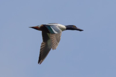 On route to Kelowna, Swan Lake Nature Reserve