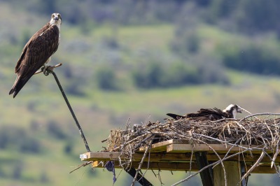 On route to Kelowna, Swan Lake Nature Reserve