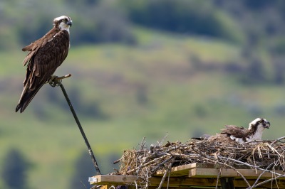 On route to Kelowna, Swan Lake Nature Reserve