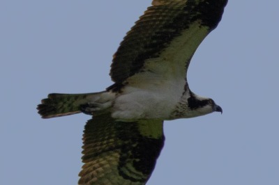 On route to Kelowna, Swan Lake Nature Reserve