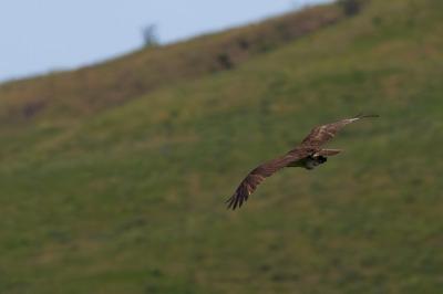 On route to Kelowna, Swan Lake Nature Reserve