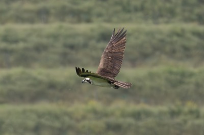 On route to Kelowna, Swan Lake Nature Reserve