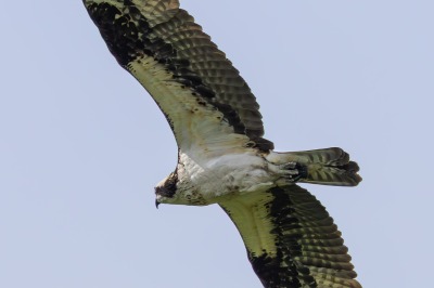 On route to Kelowna, Swan Lake Nature Reserve