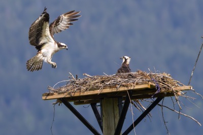 On route to Kelowna, Swan Lake Nature Reserve