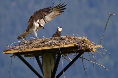 On route to Kelowna, Swan Lake Nature Reserve