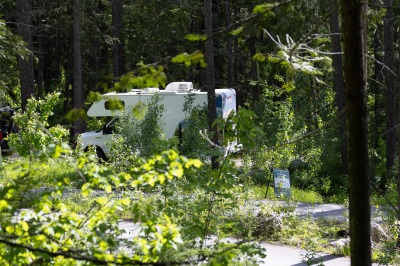 Revelstoke - Snowforest