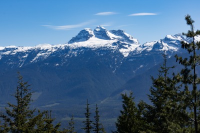 Revelstoke Snowforest