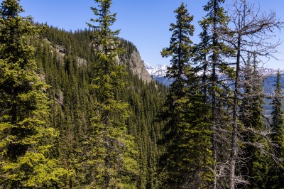 Lake Louise