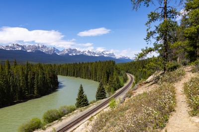 Morant's Curve