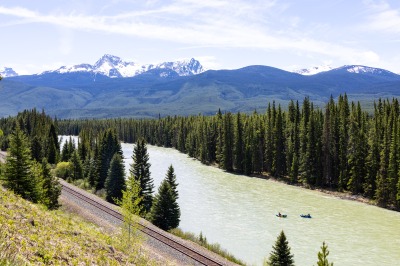 Morant's Curve