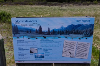 Moose Meadows