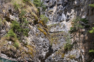Johnston Canyon