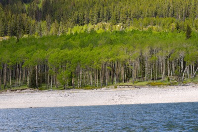 Lake Minnewanka