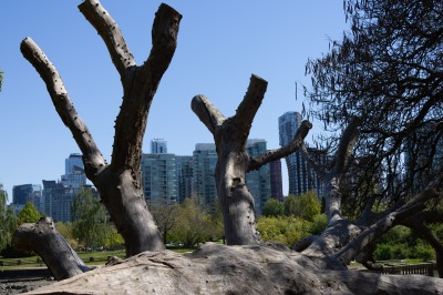 Vancouver Sea wall walk