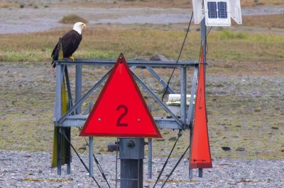 Juneau and Whale watching