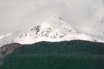 Juneau and Whale watching